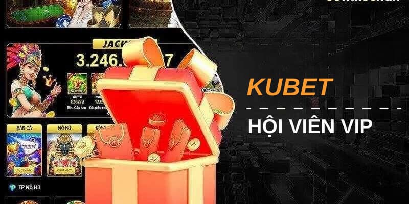 Giới thiệu tổng quan về VIP Kubet là gì?
